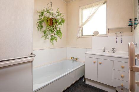 Photo of property in 132 Tarbert Street, Alexandra, 9320