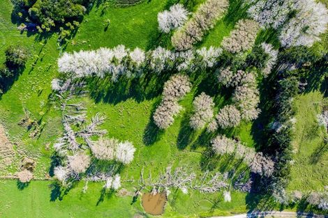 Photo of property in 16 Otara Road, Kaiwaka, 0573