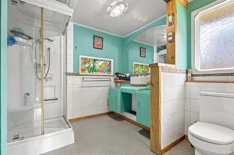 Photo of property in 49 Roslyn Street, Taumarunui, 3920