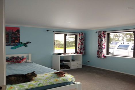 Photo of property in 269 Tavinor Road, Otaika, Whangarei, 0170