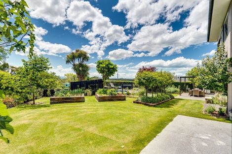 Photo of property in 74 Mchardy Street, Havelock North, 4130