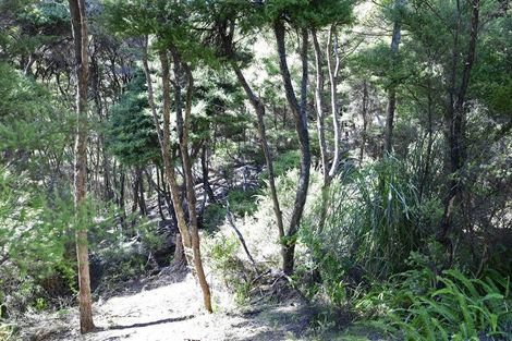 Photo of property in 8 Lavinia Place, Kawau Island, 0920