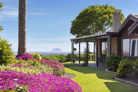 Photo of property in 179b Crawford Road, Minden, Tauranga, 3171