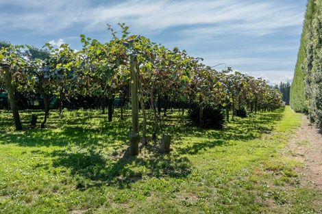 Photo of property in 359 Matahui Road, Aongatete, Katikati, 3181