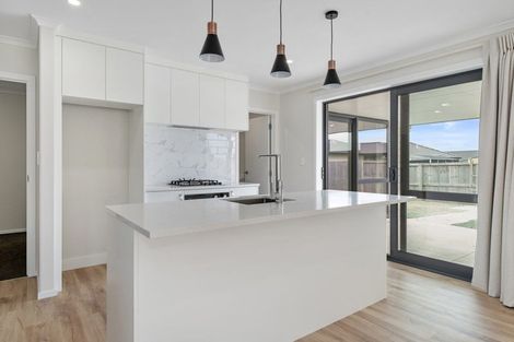 Photo of property in 38 Murray Ward Drive, Te Kauwhata, 3710