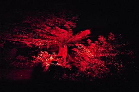 Photo of property in 8 Saint Annes Square, Tawa, Wellington, 5028