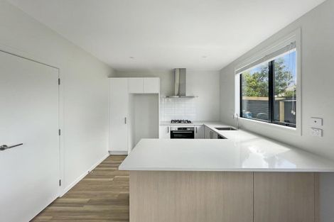 Photo of property in 1/25 Sandwich Road, Saint Andrews, Hamilton, 3200