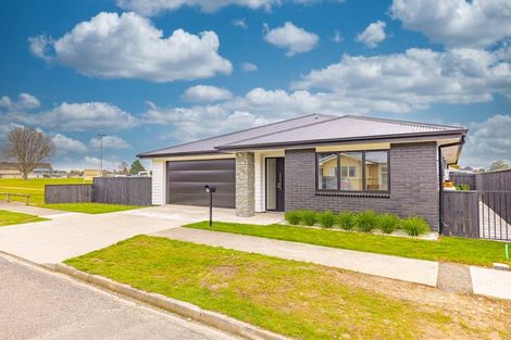 Photo of property in 12 Kauri Place, Pahiatua, 4910