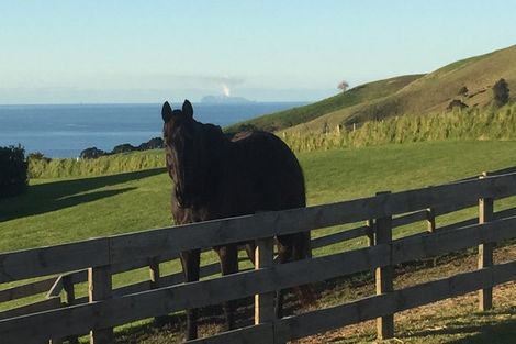 Photo of property in 109 Mimiha Ridge Road, Matata, Whakatane, 3194