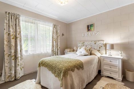 Photo of property in 19a Bledisloe Court, Pukekohe, 2120