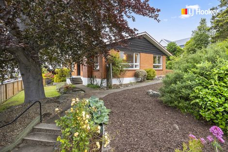 Photo of property in 20 Elgin Road, Mornington, Dunedin, 9011