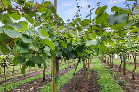 Photo of property in 6a Woodland Road, Tahawai, Katikati, 3170