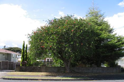 Photo of property in 68 Willerton Avenue, New Lynn, Auckland, 0600