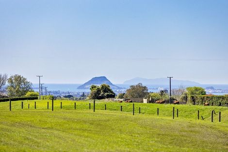 Photo of property in 390 Hereford Road, Oropi, Tauranga, 3173