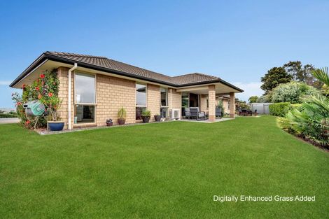 Photo of property in 12 Omana Avenue, Shelly Beach, Helensville, 0874