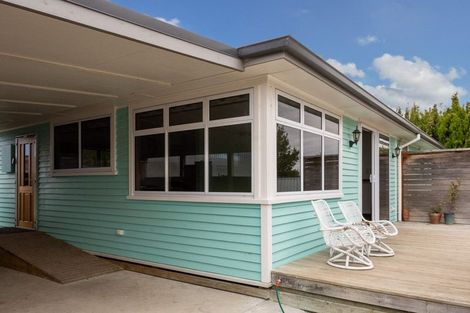 Photo of property in 21a Mills Street, Seddon, 7210