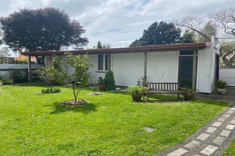 Photo of property in 119 Savage Crescent, West End, Palmerston North, 4412