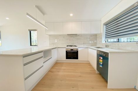 Photo of property in 259b Mount Albert Road, Wesley, Auckland, 1041