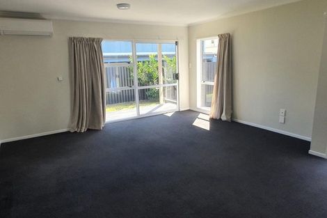 Photo of property in 11c Willoughby Street, Whitiora, Hamilton, 3200
