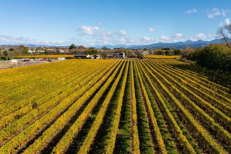 Photo of property in 5 Brook Street, Renwick, 7204