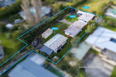 Photo of property in 1/60a View Road, Henderson, Auckland, 0612