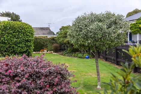 Photo of property in 103 Hillcrest Street, Solway, Masterton, 5810