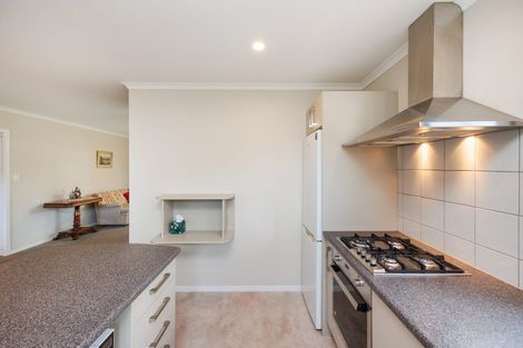 Photo of property in 554 Church Street, Terrace End, Palmerston North, 4410