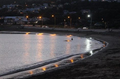 Photo of property in 30 Brighton Street, Island Bay, Wellington, 6023