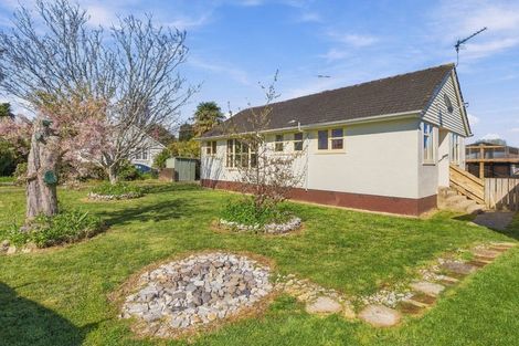 Photo of property in 4 Elizabeth Street, Cambridge, 3434