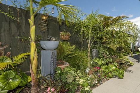 Photo of property in 20 Saint Pauls Drive, Brookfield, Tauranga, 3110