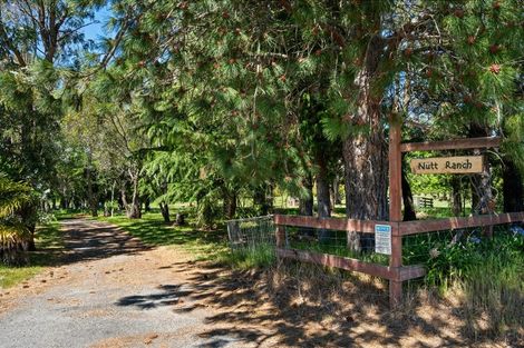 Photo of property in 191 Tyntesfield Road, Waihopai Valley, Blenheim, 7276