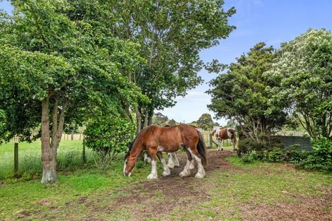 Photo of property in 965 Koputaroa Road, Koputaroa, Levin, 5575