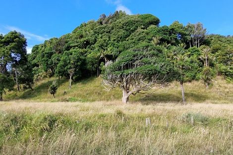 Photo of property in 125 Te Mahoe Road, Mokau, 4376