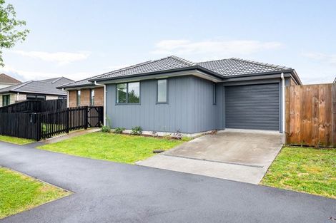 Photo of property in 53 Holland Road, Fairfield, Hamilton, 3214