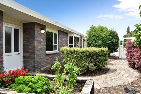 Photo of property in 35a Donny Avenue, Chartwell, Hamilton, 3210