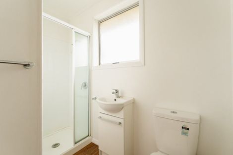 Photo of property in 58b Albert Street, Saint Clair, Dunedin, 9012