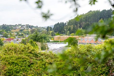 Photo of property in 35 Bradford Street, Bradford, Dunedin, 9011