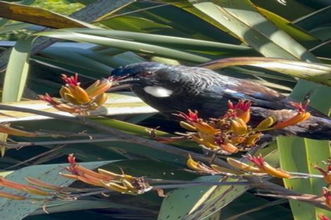 Photo of property in 26 Franklin Street, Marahau, Motueka, 7197