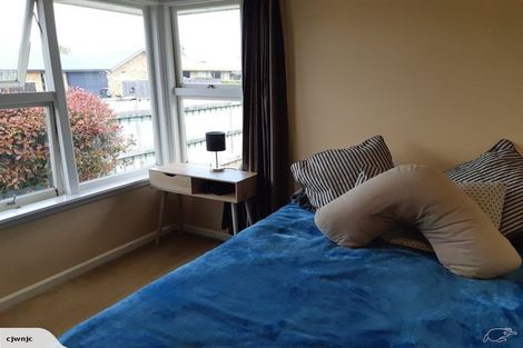 Photo of property in 26 Donegal Street, Belfast, Christchurch, 8051