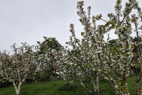 Photo of property in 13 Edievale Road, Edievale, Tapanui, 9587