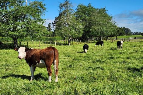 Photo of property in 404 Bristol Road, Everett Park, Inglewood, 4388