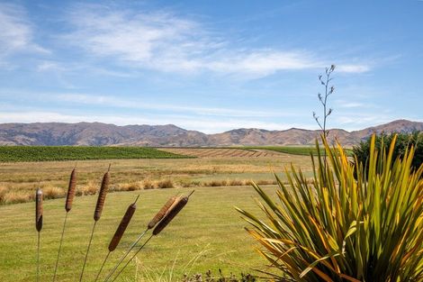 Photo of property in 317 Golden Road, Springvale, Alexandra, 9393