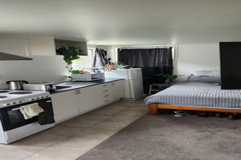 Photo of property in 164a Hanson Street, Newtown, Wellington, 6021