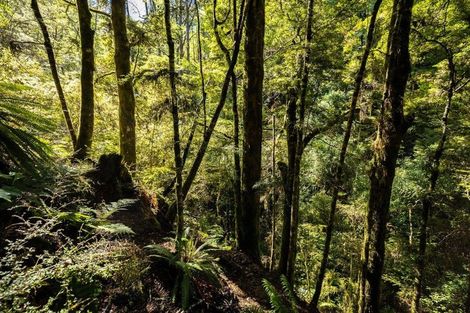 Photo of property in 288 Matiri Valley Road, Matiri, Murchison, 7077