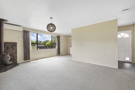 Photo of property in 253 Sinclair Terrace, Te Awamutu, 3800