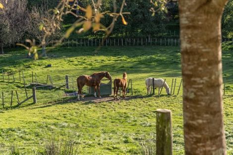 Photo of property in 218 Masterton Stronvar Road, Te Ore Ore, Masterton, 5890