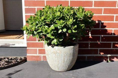 Photo of property in 2/10 Bretts Road, St Albans, Christchurch, 8052