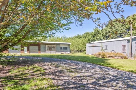 Photo of property in 435 Dunsandel Southbridge Road, Leeston, 7682