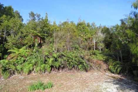 Photo of property in 5 Mokihinui Preserve, Seddonville, Westport, 7891