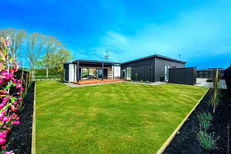 Photo of property in 87 Whitehorn Drive, Lincoln, 7608